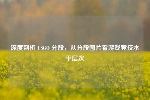 深度剖析 CSGO 分段，从分段图片看游戏竞技水平层次