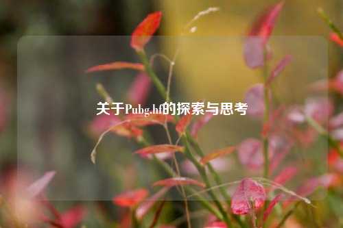 关于Pubg.hf的探索与思考
