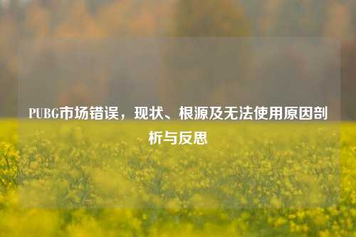 PUBG市场错误，现状、根源及无法使用原因剖析与反思