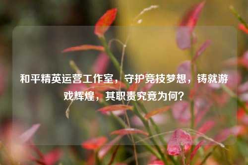 和平精英运营工作室，守护竞技梦想，铸就游戏辉煌，其职责究竟为何？