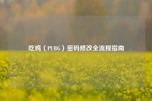 吃鸡（PUBG）密码修改全流程指南