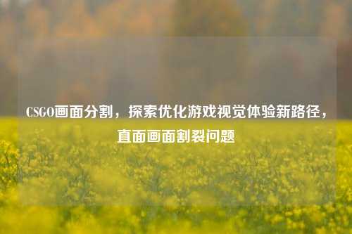 CSGO画面分割，探索优化游戏视觉体验新路径，直面画面割裂问题