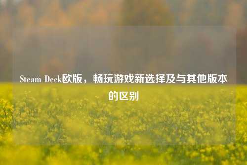 Steam Deck欧版，畅玩游戏新选择及与其他版本的区别