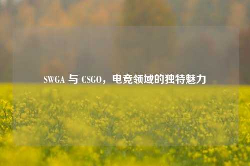 SWGA 与 CSGO，电竞领域的独特魅力
