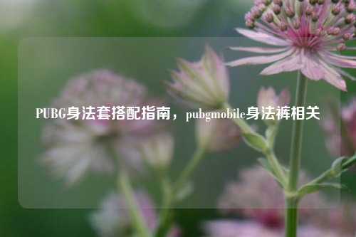 PUBG身法套搭配指南,pubgmobile身法裤相关