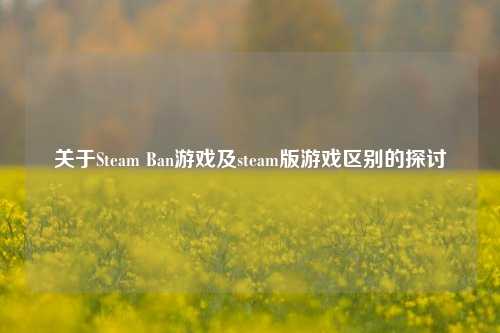 关于Steam Ban游戏及steam版游戏区别的探讨