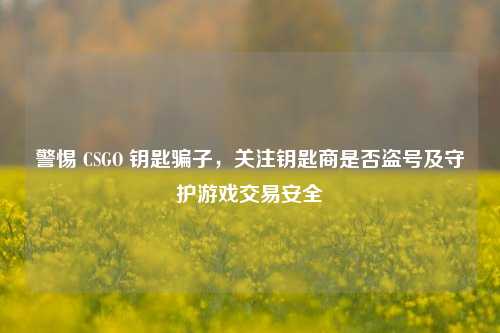 警惕 CSGO 钥匙骗子，关注钥匙商是否盗号及守护游戏交易安全