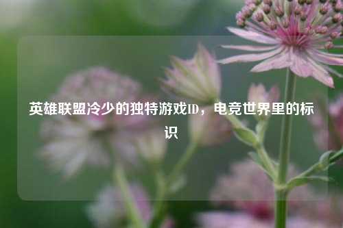 英雄联盟冷少的独特游戏ID,电竞世界里的标识