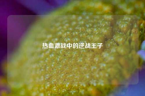 热血激战中的逆战王子