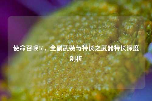 使命召唤16，全副武装与特长之武器特长深度剖析