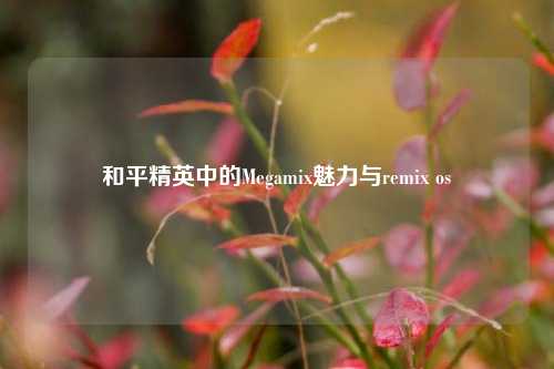 和平精英中的Megamix魅力与remix os