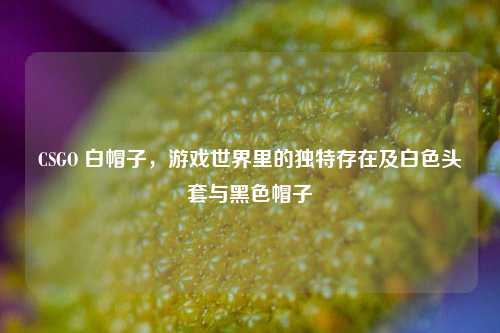 CSGO 白帽子，游戏世界里的独特存在及白色头套与黑色帽子