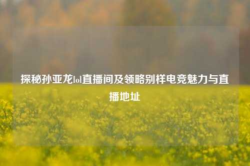 探秘孙亚龙lol直播间及领略别样电竞魅力与直播地址