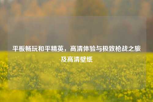 平板畅玩和平精英,高清体验与极致枪战之旅及高清壁纸