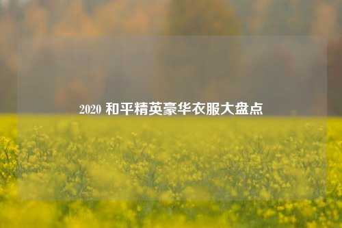 2020 和平精英豪华衣服大盘点