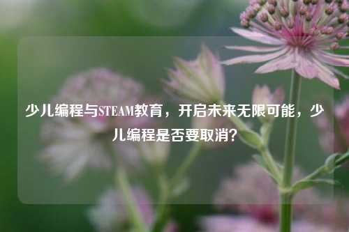 少儿编程与STEAM教育，开启未来无限可能，少儿编程是否要取消？