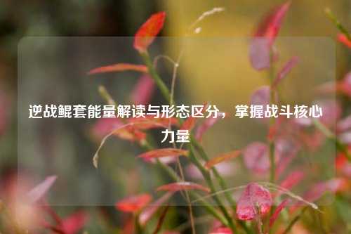 逆战鲲套能量解读与形态区分，掌握战斗核心力量