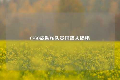 CSGO战队VG队员国籍大揭秘