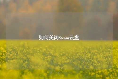 如何关闭Steam云盘