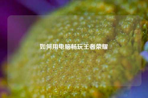 如何用电脑畅玩王者荣耀