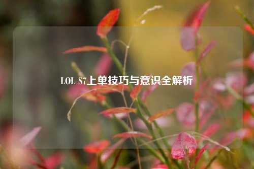 LOL S7上单技巧与意识全解析