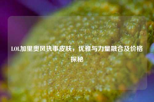 LOL加里奥风执事皮肤，优雅与力量融合及价格探秘