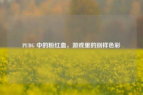 PUBG 中的粉红血，游戏里的别样色彩