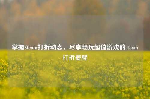 掌握Steam打折动态，尽享畅玩超值游戏的steam打折提醒