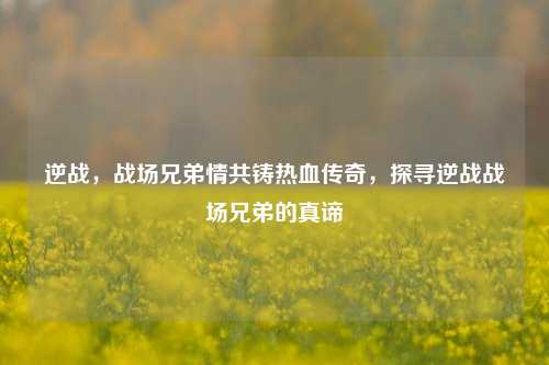 逆战,战场兄弟情共铸热血传奇,探寻逆战战场兄弟的真谛