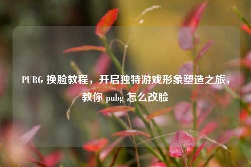 PUBG 换脸教程，开启独特游戏形象塑造之旅，教你 pubg 怎么改脸