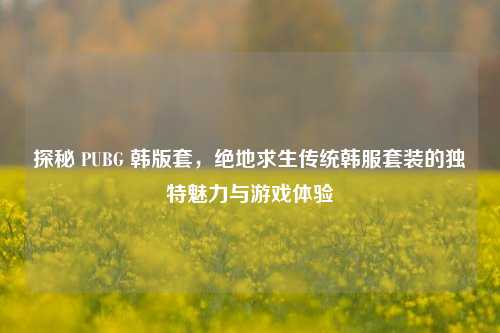 探秘 PUBG 韩版套,绝地求生传统韩服套装的独特魅力与游戏体验