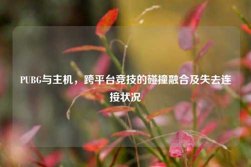 PUBG与主机，跨平台竞技的碰撞融合及失去连接状况