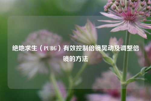 绝地求生(PUBG)有效控制倍镜晃动及调整倍镜的方法