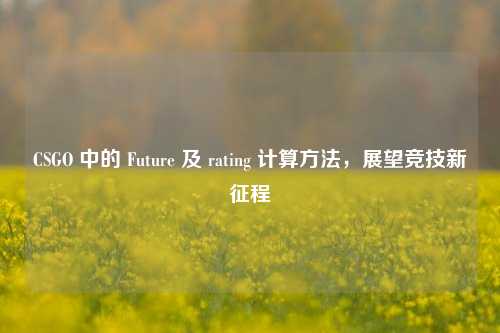 CSGO 中的 Future 及 rating 计算方法，展望竞技新征程