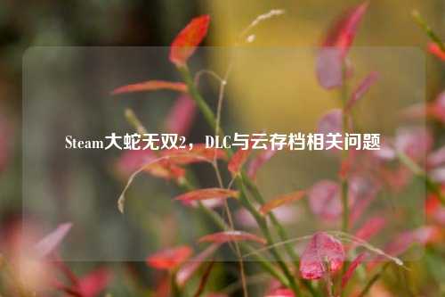Steam大蛇无双2，DLC与云存档相关问题