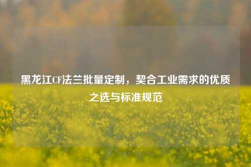 黑龙江CF法兰批量定制，契合工业需求的优质之选与标准规范