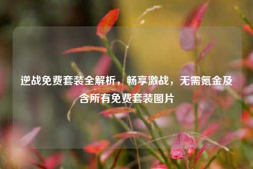 逆战免费套装全解析，畅享激战，无需氪金及含所有免费套装图片