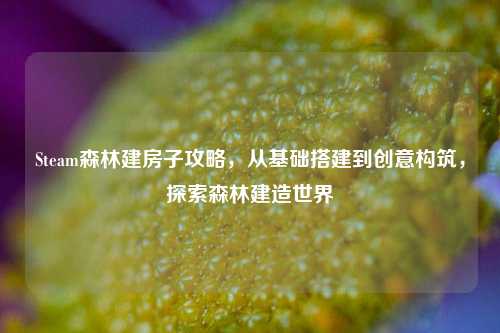 Steam森林建房子攻略，从基础搭建到创意构筑，探索森林建造世界