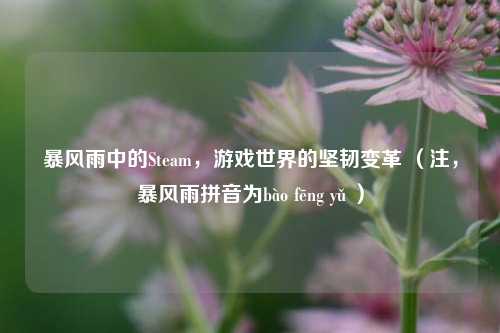 暴风雨中的Steam，游戏世界的坚韧变革 （注，暴风雨拼音为bào fēng yǔ ）