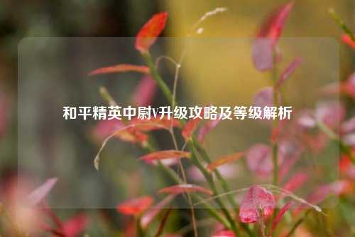 和平精英中尉V升级攻略及等级解析
