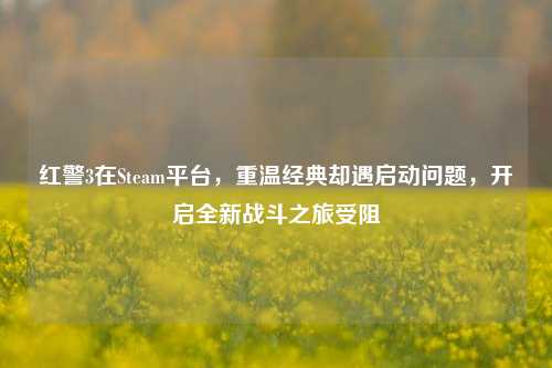 红警3在Steam平台，重温经典却遇启动问题，开启全新战斗之旅受阻