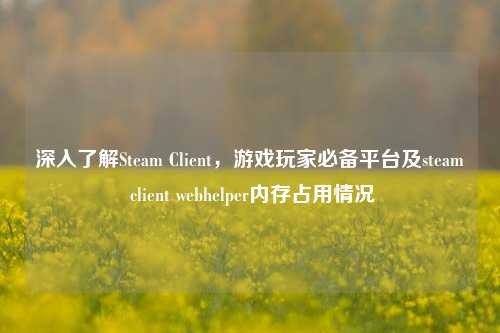 深入了解Steam Client，游戏玩家必备平台及steam client webhelper内存占用情况
