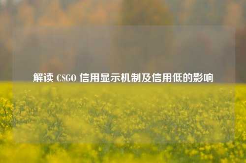 解读 CSGO 信用显示机制及信用低的影响