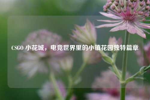 CSGO 小花城，电竞世界里的小镇花园独特篇章