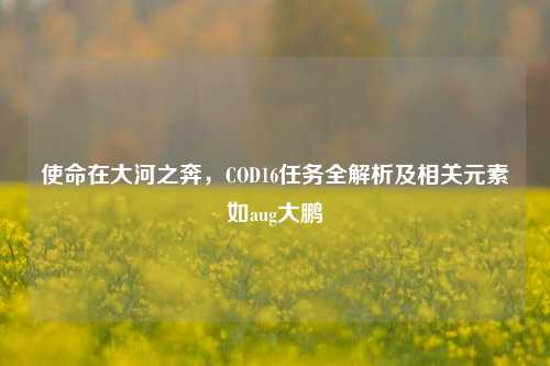 使命在大河之奔，COD16任务全解析及相关元素如aug大鹏
