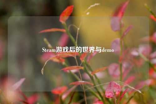 Steam游戏后的世界与demo