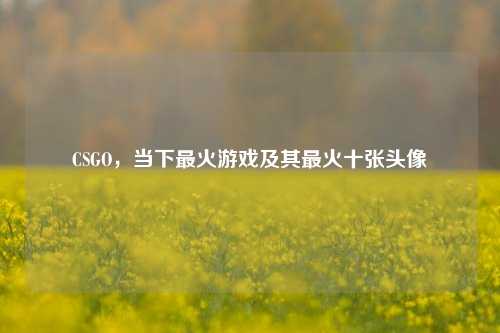 CSGO，当下最火游戏及其最火十张头像