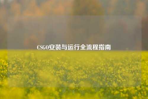 CSGO安装与运行全流程指南