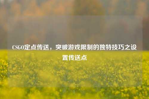 CSGO定点传送,突破游戏限制的独特技巧之设置传送点