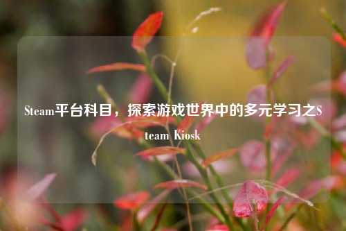 Steam平台科目，探索游戏世界中的多元学习之Steam Kiosk